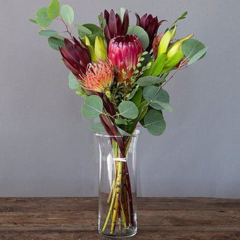 Tropical Protea Wholesale Flowers In a vase