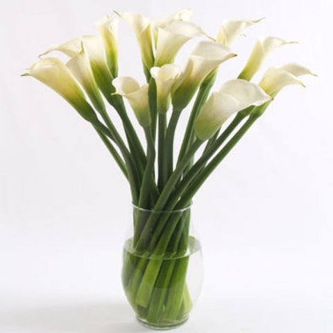 Valentine Calla Lily Flower Arrangement