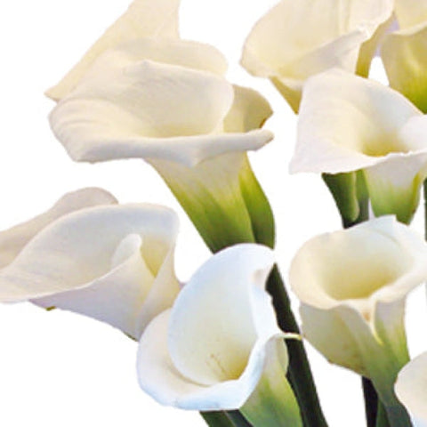 Valentine Calla Lily Flower Arrangement