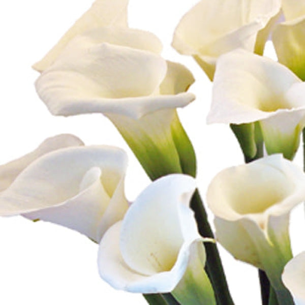 Valentine Calla Lily Flower Arrangement