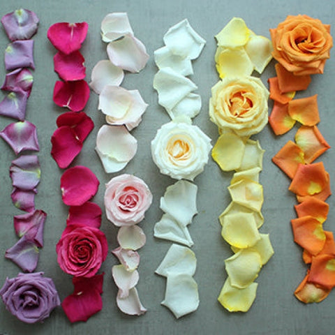 Roses and Petals Choose Your Colors DIY Flower Kit Flatlay