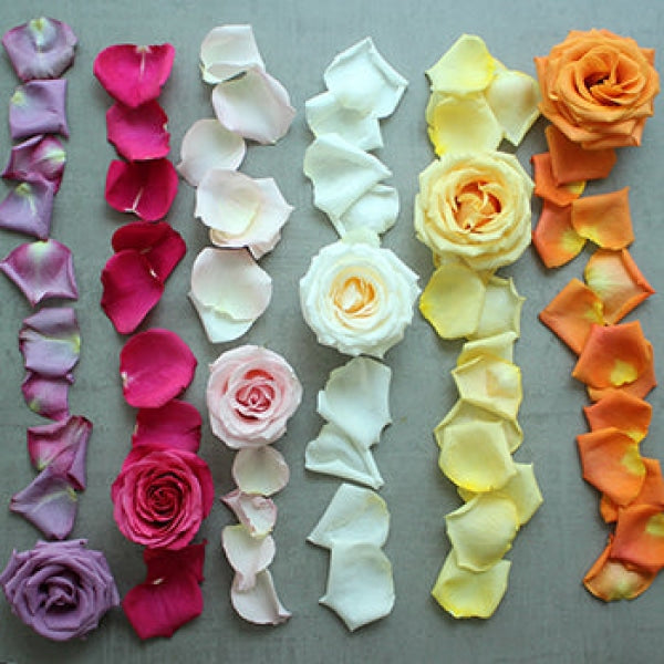 Roses and Petals Choose Your Colors DIY Flower Kit Flatlay