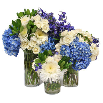 Varsity Blues DIY Flower Kit In a Vase