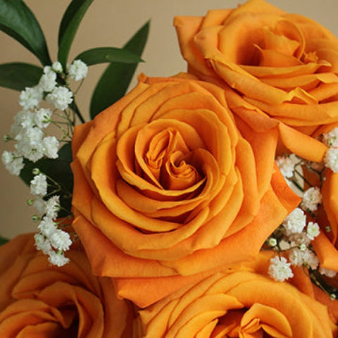 Vday Dozen Color Rose Arrangement Valentines Arrangements