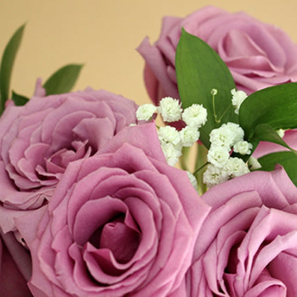 Vday Dozen Color Rose Arrangement Valentines Arrangements