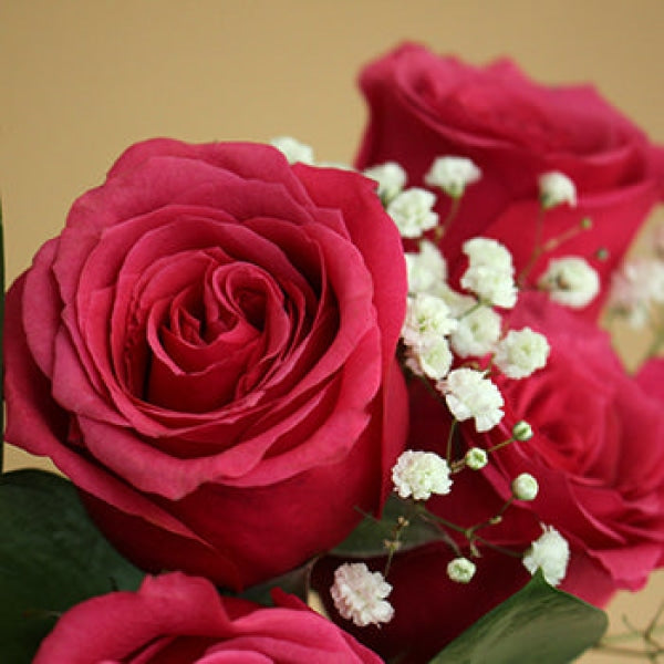 Vday Dozen Color Rose Arrangement Valentines Arrangements