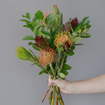 Veld Tropical DIY Flower Kit In a Vase