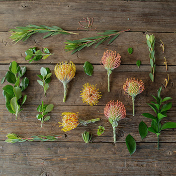 Veld Tropical DIY Flower Kit Up Close