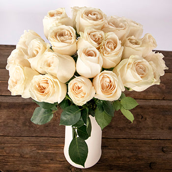 Delicate Snowflakes Vendela Roses