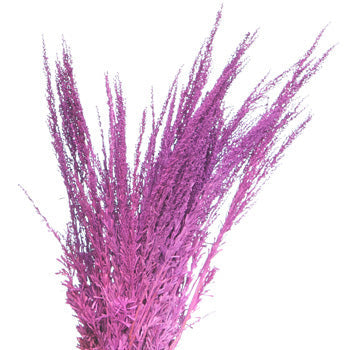 Violet Purple Airbrushed Sage
