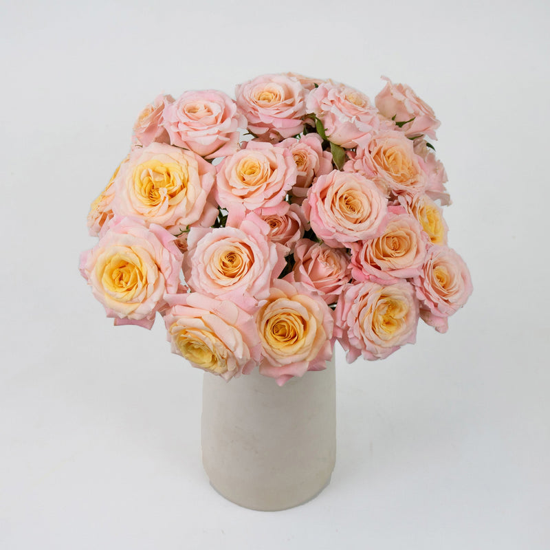 Peachy Keen Spray Wholesale Roses