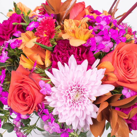 Pink Fall DIY Flower Kit