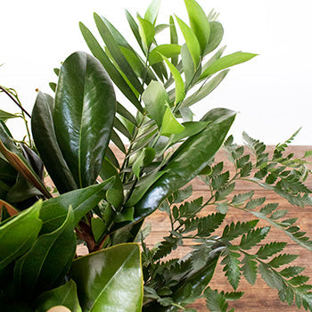 Whimsy greenery mix up close