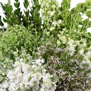 White Bliss Combo DIY Flower Kit Up Close