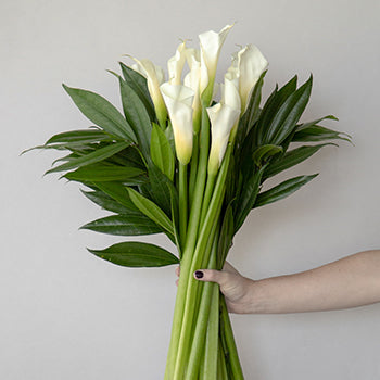 White Classic Calla Lily Centerpieces