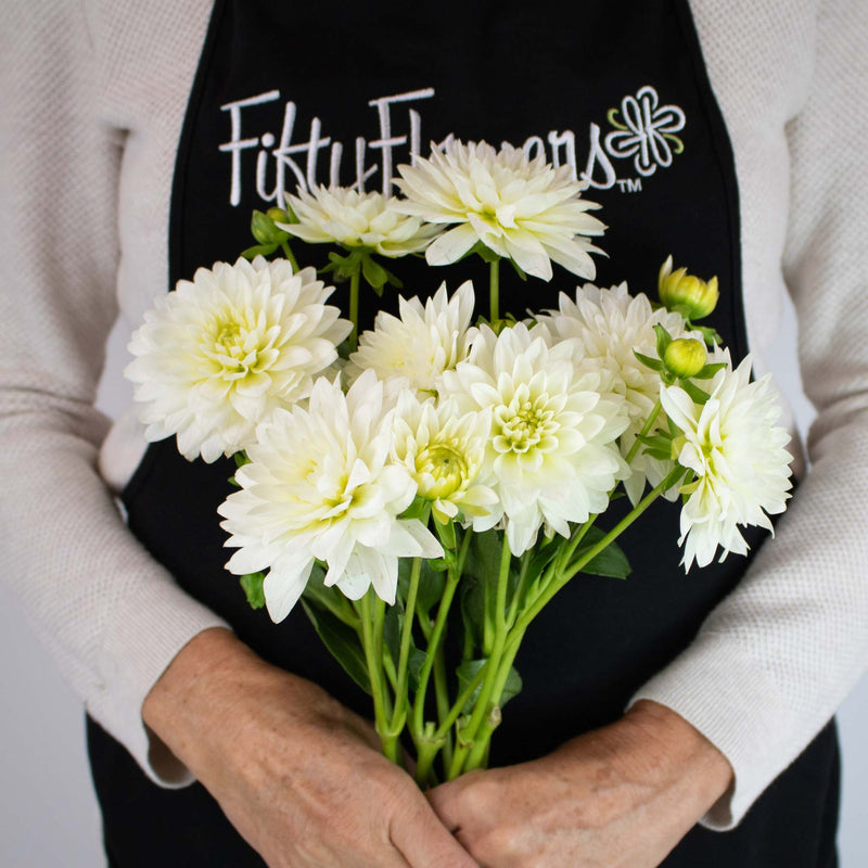 White Dahlia Flower Bunch in Hand