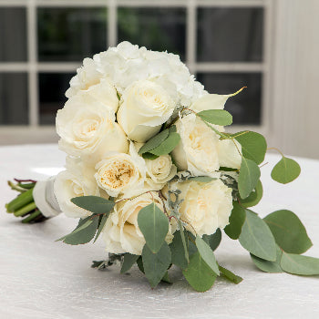 Purity Wedding Collection