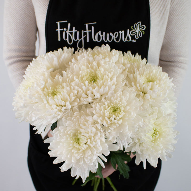 White Football Mum Flower Bunch in Hand