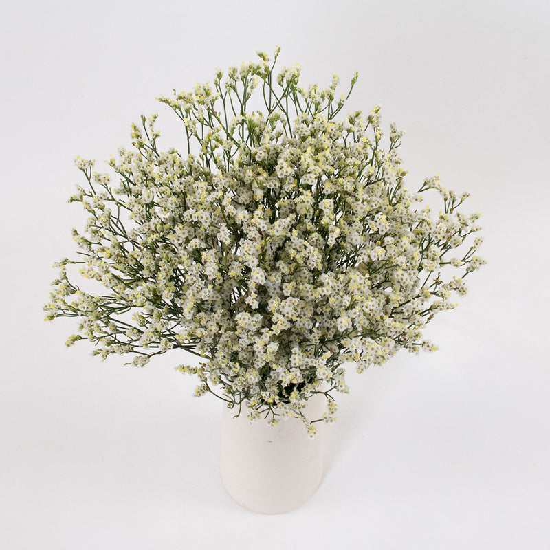 White Limonium Flower Bunch in Vase