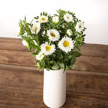 White Matsumoto Flowers