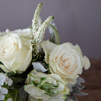 Look at these white flowers