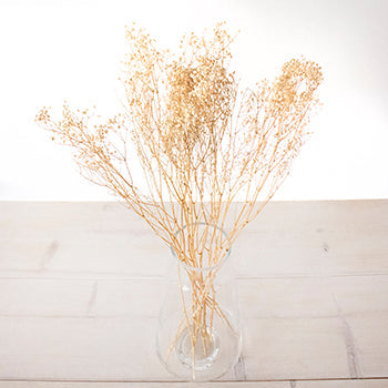 Dried Babys Breath Bleached Flower
