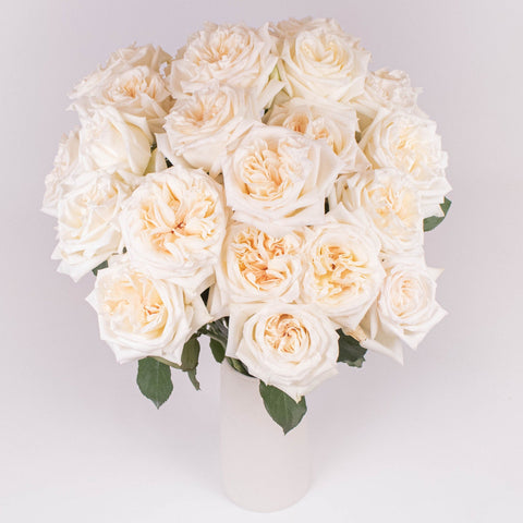 Creamy White Ohara Garden Roses in Vase