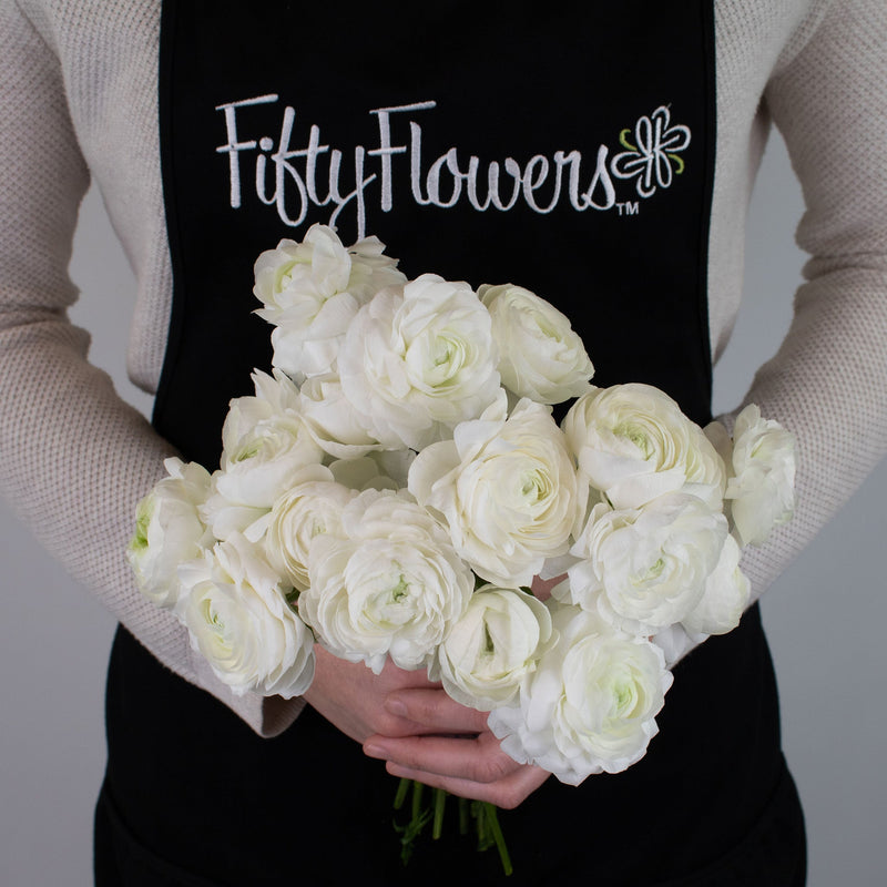 White Ranunculus Flower Bunch in Hand