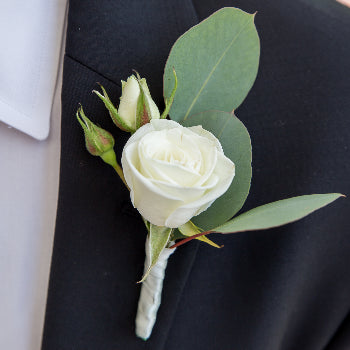 Something Blue Minimony Wedding Collection