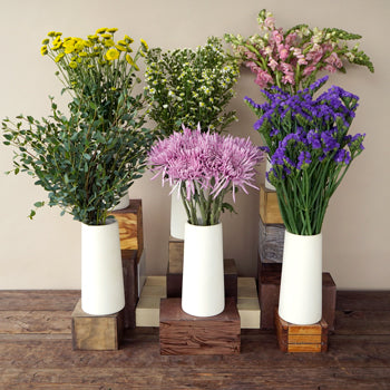 Wild About You DIY Flower Kit Bunch