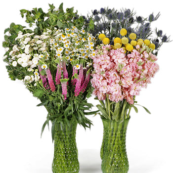 Wildflower Spirit DIY Flower Kit In a Vase