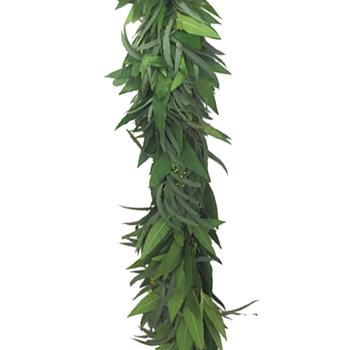 Willow Seeded Eucalyptus and Bay Leaf Wholesale Greenery Up Close