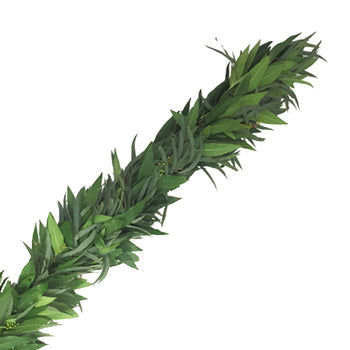 Willow Seeded Eucalyptus and Bay Leaf Wholesale Greenery FlatLay