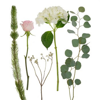 Winter Blush DIY Flower Kit Flatlay