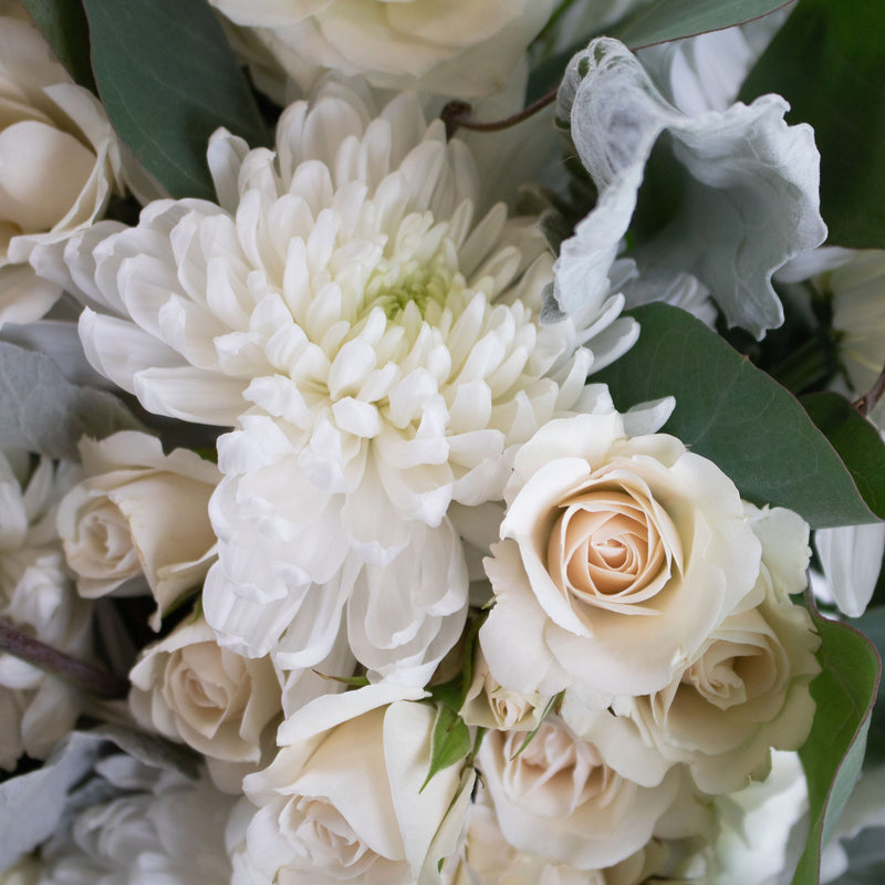 Winter White DIY Flower Kit Up Close