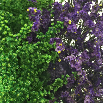 Wispy Filler Green and Purple DIY Flower Kit Up Close