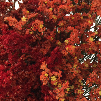 Wispy Filler Red and Orange DIY Flower Kit Up Close