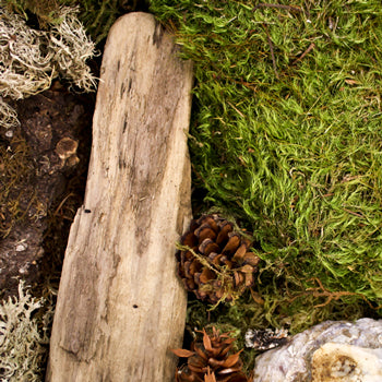 Woodland Wedding DIY Flower Kit Up Close