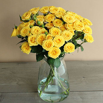 Yellow Babe Wholesale Roses In a vase