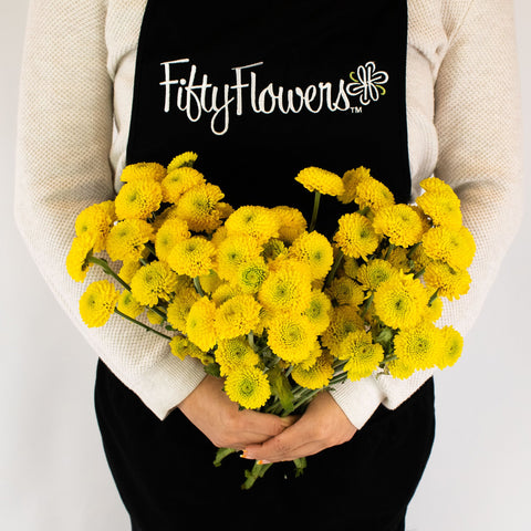 Yellow Button Pom Flower Bunch in Hand