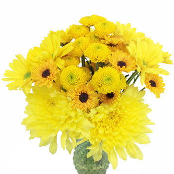 Sunny Flower Days Pom Pack