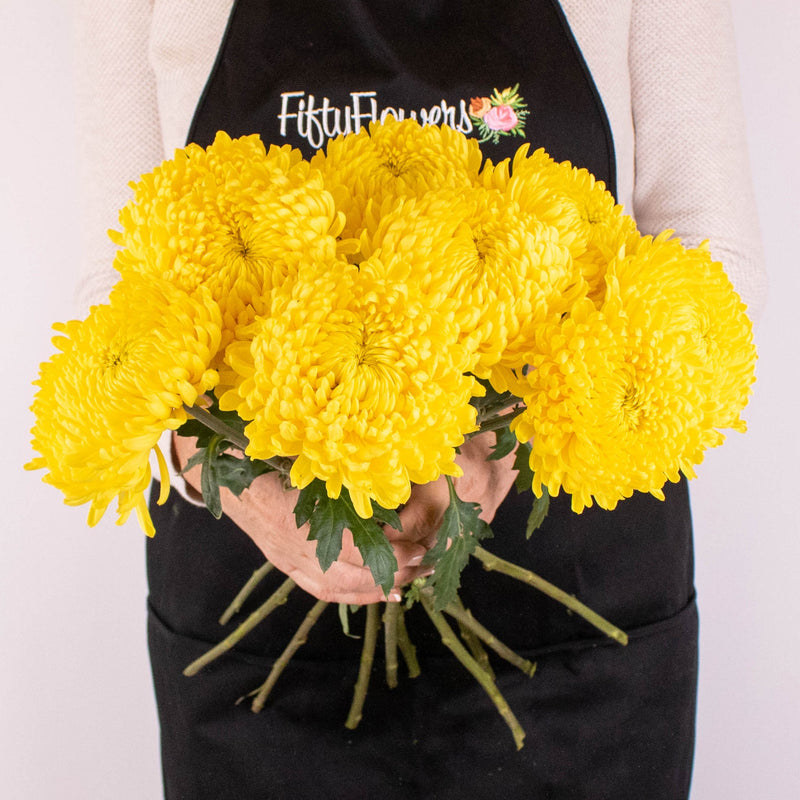 Yellow Cremon Flower Bunch in Hand