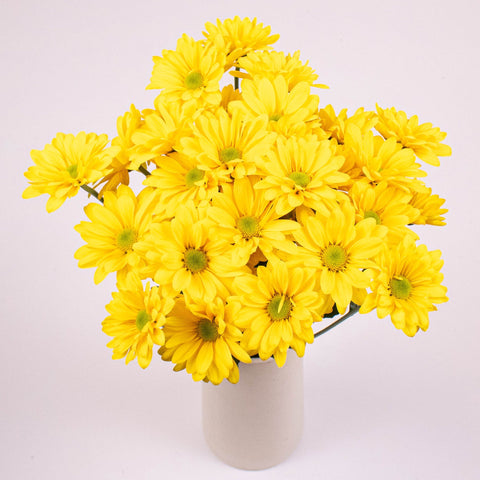 Bright Yellow Daisy Flower Bunch in Vase