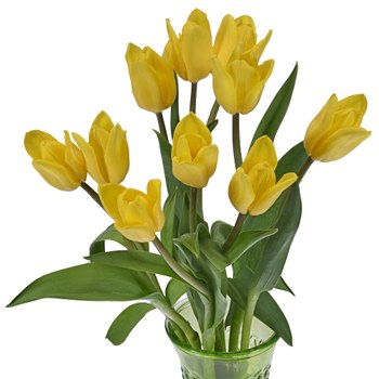Yellow Flight Tulip Wholesale Flower In a vase