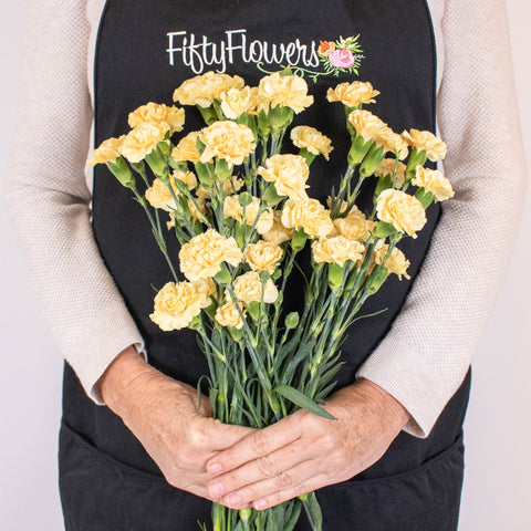 Yellow Mini Carnation Flower Bunch in Hand