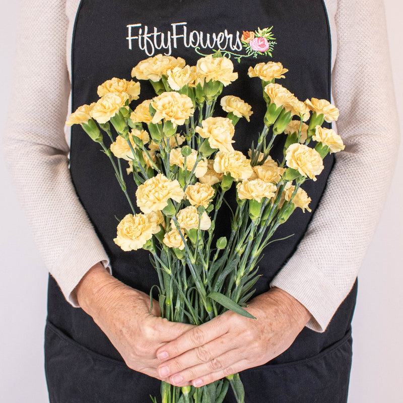 Yellow Mini Carnation Flower Bunch in Hand