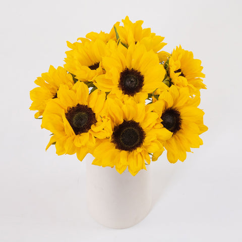 Yellow Mini Sunflower Flowers Bunch in Vase