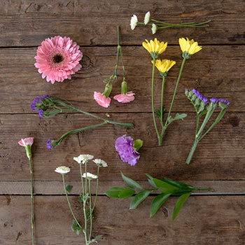 Butterfly Centerpiece