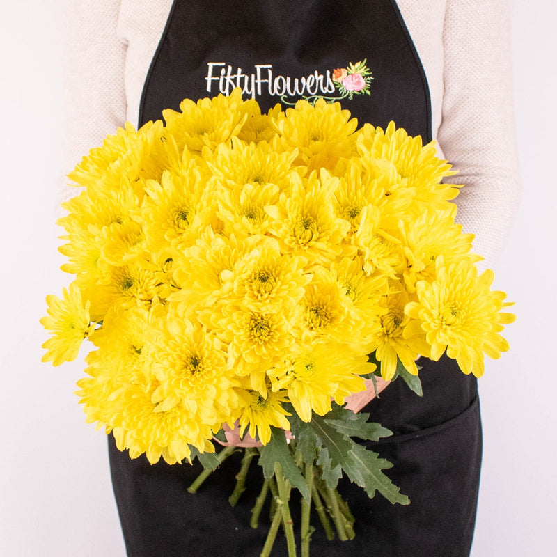 Bright Yellow Pom Flower Bunch in Hand