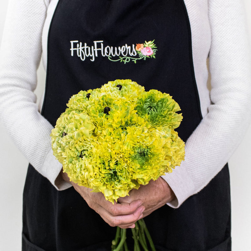 Yellow Pon Pon Ranunculus Flowers in Hand